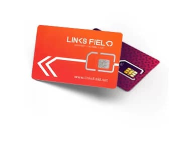LF BR M2M Vivo